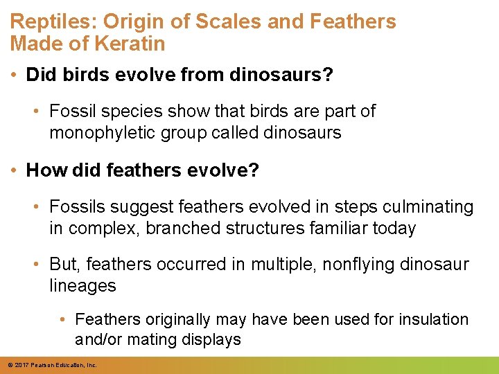 Reptiles: Origin of Scales and Feathers Made of Keratin • Did birds evolve from Reptiles: Origin of Scales and Feathers Made of Keratin • Did birds evolve from