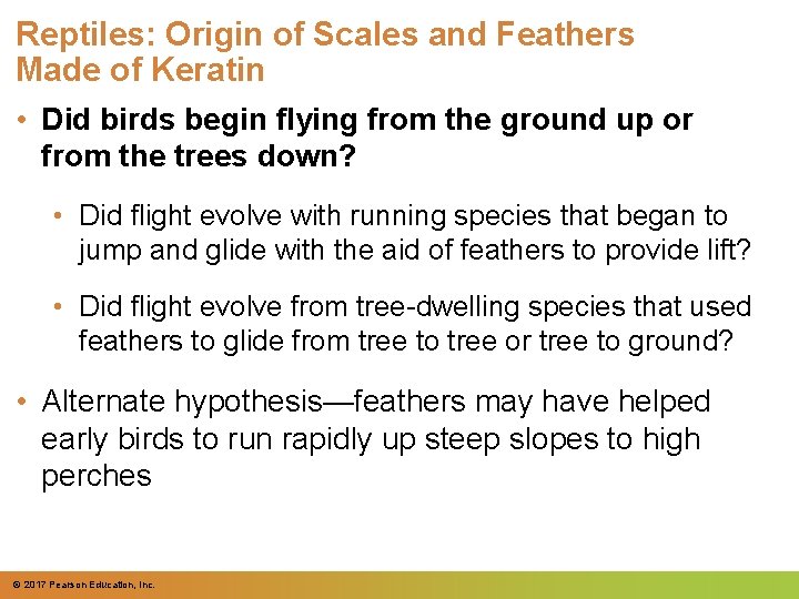 Reptiles: Origin of Scales and Feathers Made of Keratin • Did birds begin flying Reptiles: Origin of Scales and Feathers Made of Keratin • Did birds begin flying