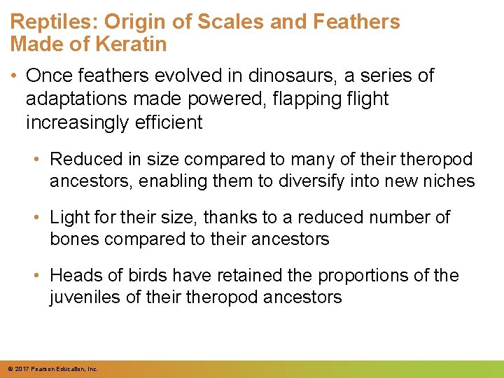 Reptiles: Origin of Scales and Feathers Made of Keratin • Once feathers evolved in Reptiles: Origin of Scales and Feathers Made of Keratin • Once feathers evolved in