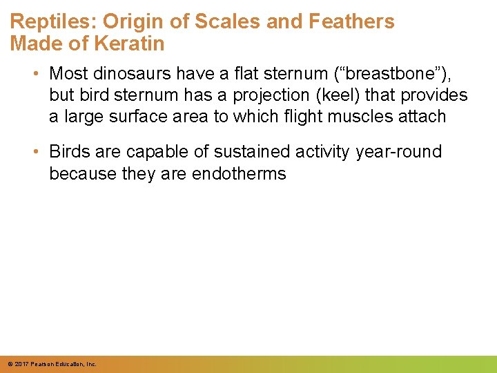 Reptiles: Origin of Scales and Feathers Made of Keratin • Most dinosaurs have a Reptiles: Origin of Scales and Feathers Made of Keratin • Most dinosaurs have a