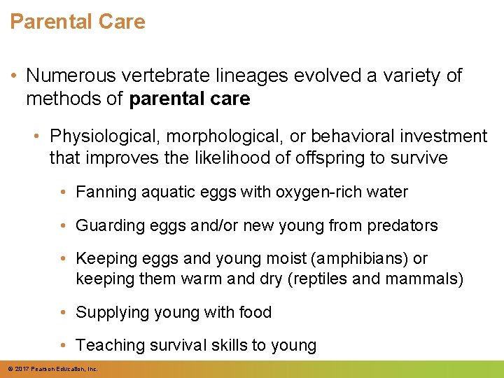 Parental Care • Numerous vertebrate lineages evolved a variety of methods of parental care Parental Care • Numerous vertebrate lineages evolved a variety of methods of parental care