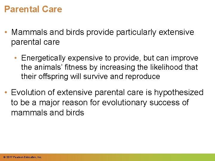 Parental Care • Mammals and birds provide particularly extensive parental care • Energetically expensive Parental Care • Mammals and birds provide particularly extensive parental care • Energetically expensive