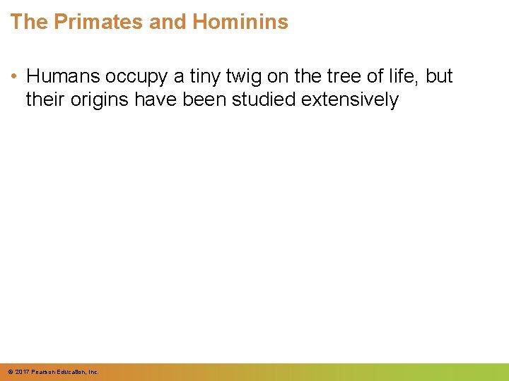 The Primates and Hominins • Humans occupy a tiny twig on the tree of The Primates and Hominins • Humans occupy a tiny twig on the tree of