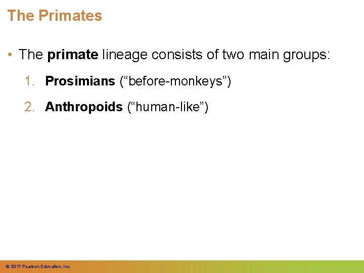 The Primates • The primate lineage consists of two main groups: 1. Prosimians (“before-monkeys”) The Primates • The primate lineage consists of two main groups: 1. Prosimians (“before-monkeys”)