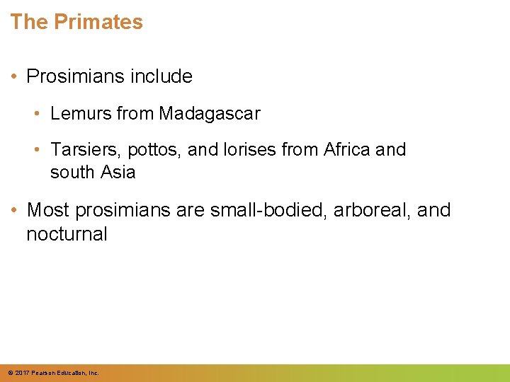 The Primates • Prosimians include • Lemurs from Madagascar • Tarsiers, pottos, and lorises The Primates • Prosimians include • Lemurs from Madagascar • Tarsiers, pottos, and lorises