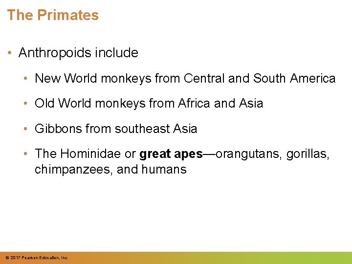 The Primates • Anthropoids include • New World monkeys from Central and South America The Primates • Anthropoids include • New World monkeys from Central and South America