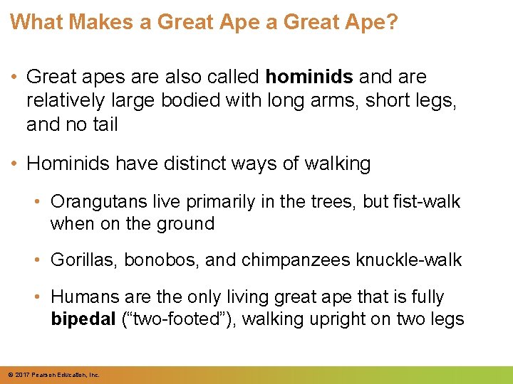 What Makes a Great Ape? • Great apes are also called hominids and are What Makes a Great Ape? • Great apes are also called hominids and are