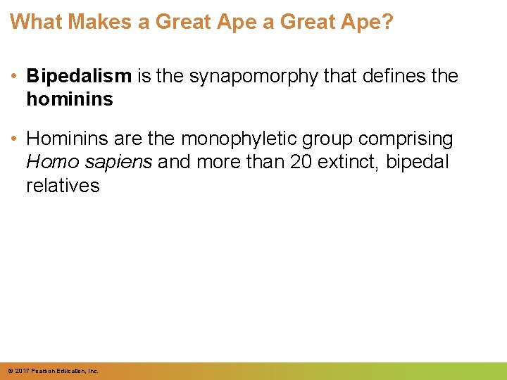 What Makes a Great Ape? • Bipedalism is the synapomorphy that defines the hominins What Makes a Great Ape? • Bipedalism is the synapomorphy that defines the hominins