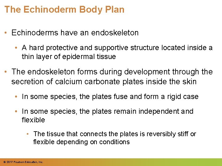 The Echinoderm Body Plan • Echinoderms have an endoskeleton • A hard protective and The Echinoderm Body Plan • Echinoderms have an endoskeleton • A hard protective and