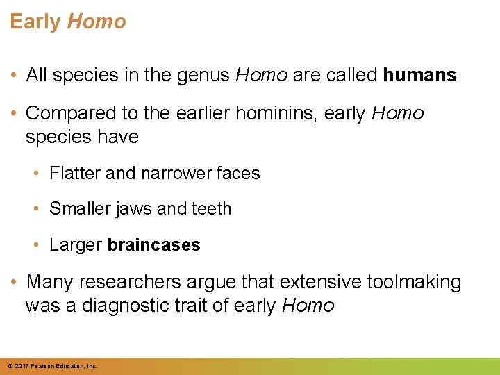 Early Homo • All species in the genus Homo are called humans • Compared Early Homo • All species in the genus Homo are called humans • Compared