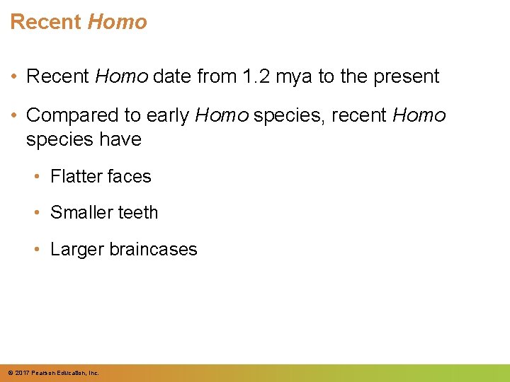 Recent Homo • Recent Homo date from 1. 2 mya to the present • Recent Homo • Recent Homo date from 1. 2 mya to the present •