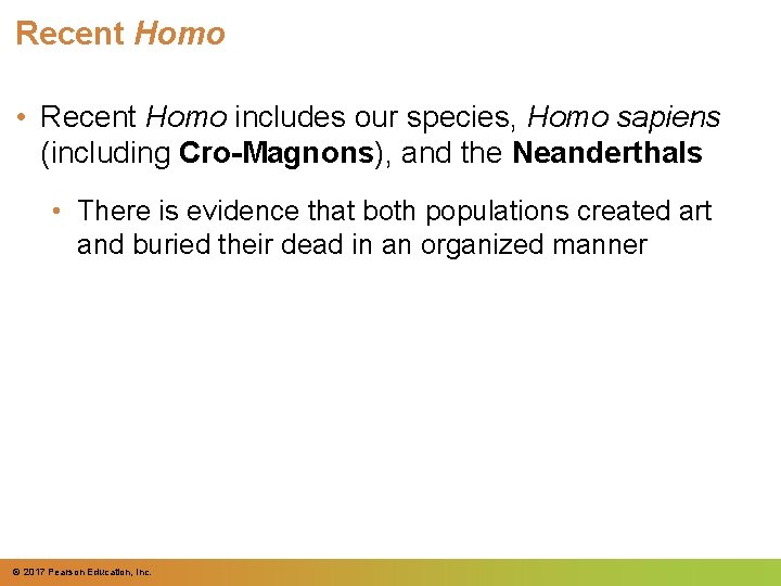 Recent Homo • Recent Homo includes our species, Homo sapiens (including Cro-Magnons), and the Recent Homo • Recent Homo includes our species, Homo sapiens (including Cro-Magnons), and the