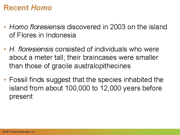 Recent Homo • Homo floresiensis discovered in 2003 on the island of Flores in Recent Homo • Homo floresiensis discovered in 2003 on the island of Flores in