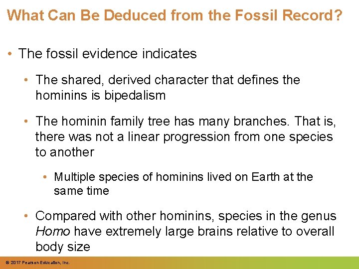 What Can Be Deduced from the Fossil Record? • The fossil evidence indicates • What Can Be Deduced from the Fossil Record? • The fossil evidence indicates •