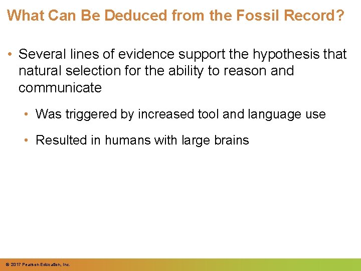 What Can Be Deduced from the Fossil Record? • Several lines of evidence support What Can Be Deduced from the Fossil Record? • Several lines of evidence support