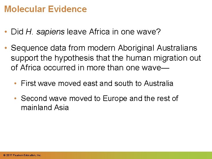 Molecular Evidence • Did H. sapiens leave Africa in one wave? • Sequence data Molecular Evidence • Did H. sapiens leave Africa in one wave? • Sequence data