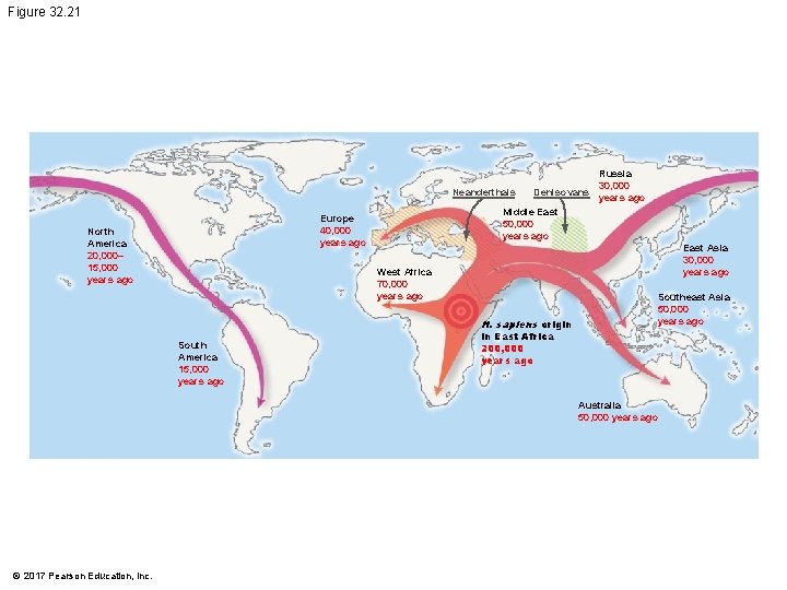 Figure 32. 21 Russia 30, 000 Neanderthals Denisovans years ago Middle East 50, 000 Figure 32. 21 Russia 30, 000 Neanderthals Denisovans years ago Middle East 50, 000