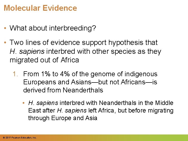 Molecular Evidence • What about interbreeding? • Two lines of evidence support hypothesis that Molecular Evidence • What about interbreeding? • Two lines of evidence support hypothesis that