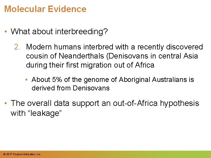 Molecular Evidence • What about interbreeding? 2. Modern humans interbred with a recently discovered Molecular Evidence • What about interbreeding? 2. Modern humans interbred with a recently discovered