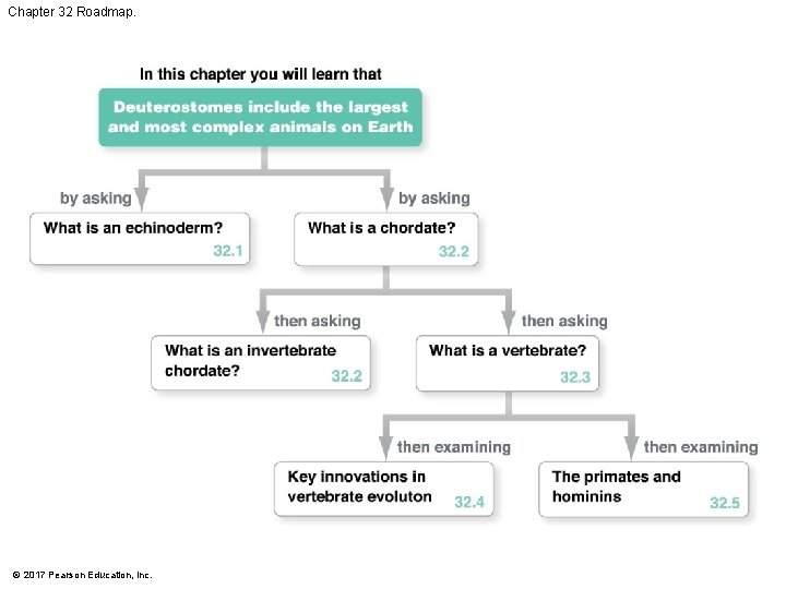 Chapter 32 Roadmap. © 2017 Pearson Education, Inc. Chapter 32 Roadmap. © 2017 Pearson Education, Inc.