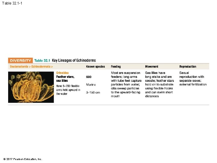 Table 32. 1 -1 © 2017 Pearson Education, Inc. Table 32. 1 -1 © 2017 Pearson Education, Inc.