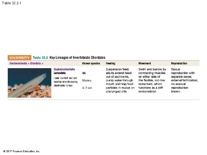Table 32. 2 -1 © 2017 Pearson Education, Inc. Table 32. 2 -1 © 2017 Pearson Education, Inc.