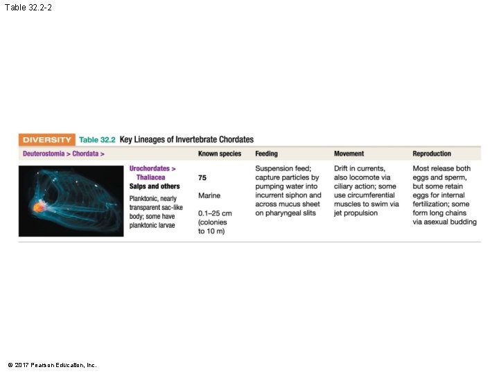Table 32. 2 -2 © 2017 Pearson Education, Inc. Table 32. 2 -2 © 2017 Pearson Education, Inc.