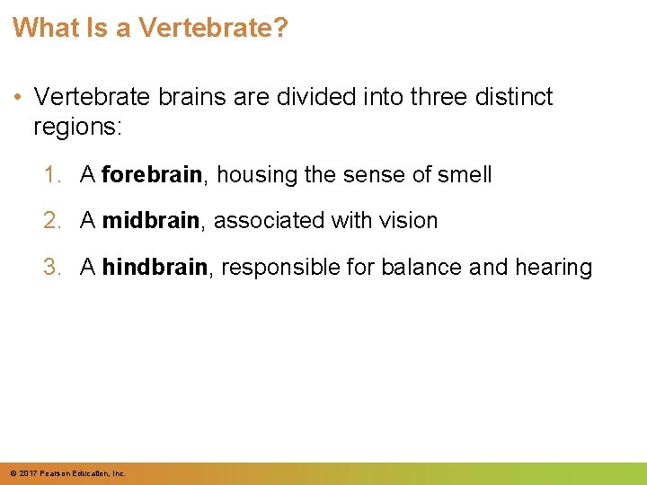 What Is a Vertebrate? • Vertebrate brains are divided into three distinct regions: 1. What Is a Vertebrate? • Vertebrate brains are divided into three distinct regions: 1.