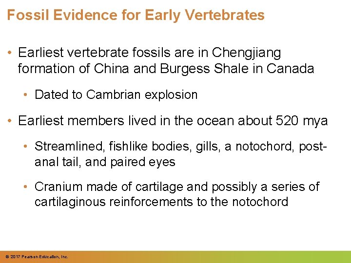 Fossil Evidence for Early Vertebrates • Earliest vertebrate fossils are in Chengjiang formation of Fossil Evidence for Early Vertebrates • Earliest vertebrate fossils are in Chengjiang formation of