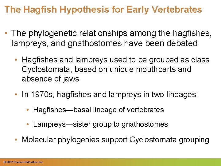 The Hagfish Hypothesis for Early Vertebrates • The phylogenetic relationships among the hagfishes, lampreys, The Hagfish Hypothesis for Early Vertebrates • The phylogenetic relationships among the hagfishes, lampreys,