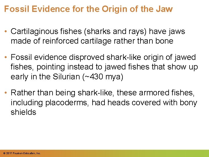 Fossil Evidence for the Origin of the Jaw • Cartilaginous fishes (sharks and rays) Fossil Evidence for the Origin of the Jaw • Cartilaginous fishes (sharks and rays)