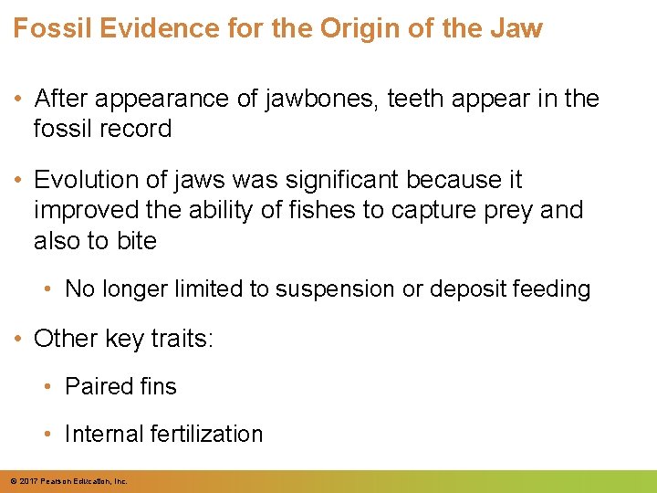 Fossil Evidence for the Origin of the Jaw • After appearance of jawbones, teeth Fossil Evidence for the Origin of the Jaw • After appearance of jawbones, teeth