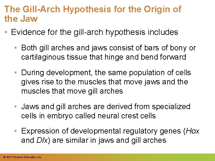 The Gill-Arch Hypothesis for the Origin of the Jaw • Evidence for the gill-arch The Gill-Arch Hypothesis for the Origin of the Jaw • Evidence for the gill-arch