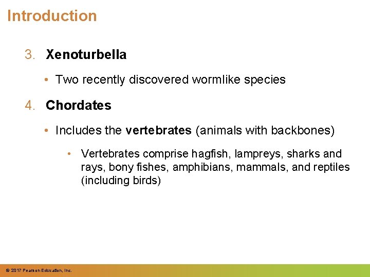Introduction 3. Xenoturbella • Two recently discovered wormlike species 4. Chordates • Includes the Introduction 3. Xenoturbella • Two recently discovered wormlike species 4. Chordates • Includes the