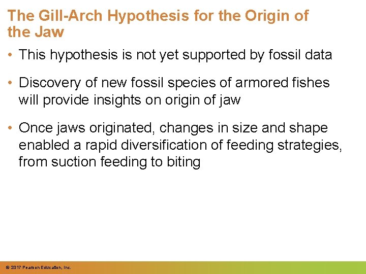 The Gill-Arch Hypothesis for the Origin of the Jaw • This hypothesis is not The Gill-Arch Hypothesis for the Origin of the Jaw • This hypothesis is not