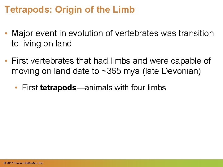 Tetrapods: Origin of the Limb • Major event in evolution of vertebrates was transition Tetrapods: Origin of the Limb • Major event in evolution of vertebrates was transition