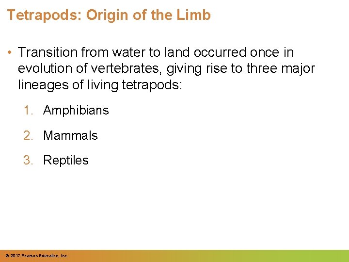 Tetrapods: Origin of the Limb • Transition from water to land occurred once in Tetrapods: Origin of the Limb • Transition from water to land occurred once in
