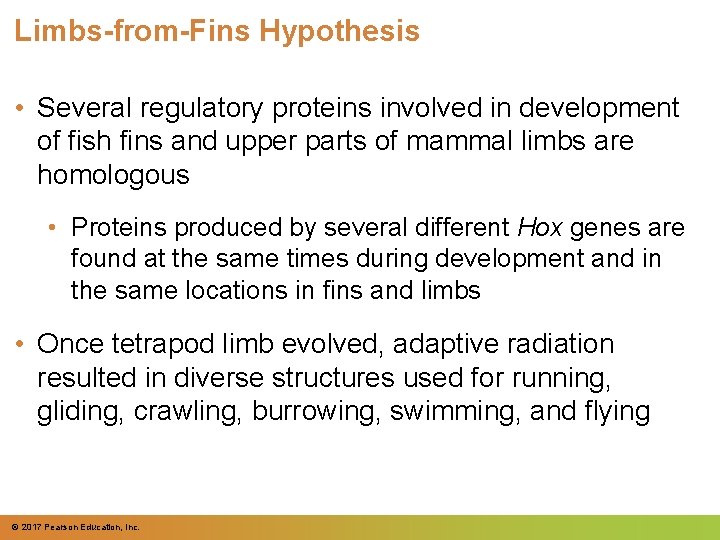 Limbs-from-Fins Hypothesis • Several regulatory proteins involved in development of fish fins and upper Limbs-from-Fins Hypothesis • Several regulatory proteins involved in development of fish fins and upper