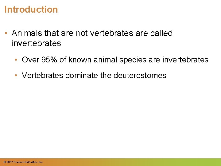 Introduction • Animals that are not vertebrates are called invertebrates • Over 95% of Introduction • Animals that are not vertebrates are called invertebrates • Over 95% of