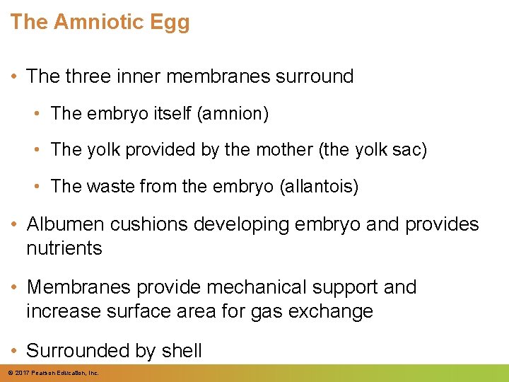 The Amniotic Egg • The three inner membranes surround • The embryo itself (amnion) The Amniotic Egg • The three inner membranes surround • The embryo itself (amnion)