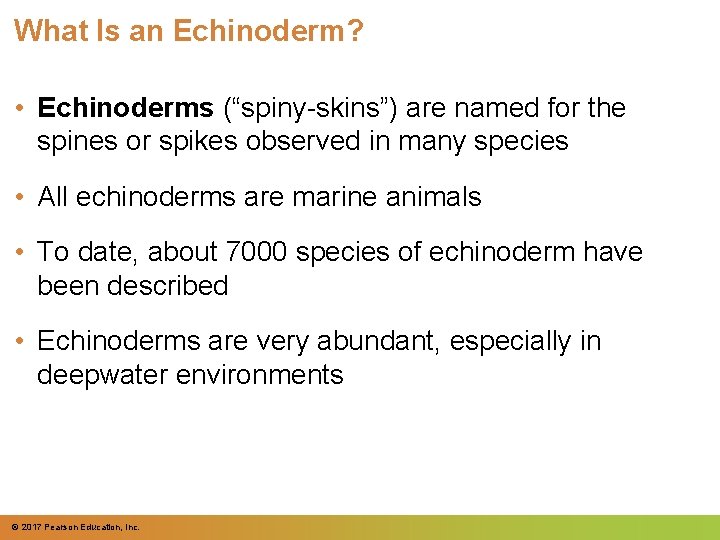 What Is an Echinoderm? • Echinoderms (“spiny-skins”) are named for the spines or spikes What Is an Echinoderm? • Echinoderms (“spiny-skins”) are named for the spines or spikes