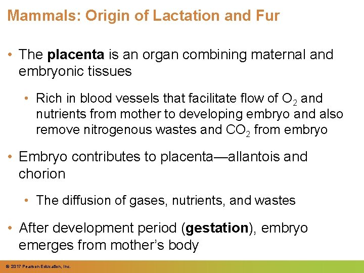 Mammals: Origin of Lactation and Fur • The placenta is an organ combining maternal Mammals: Origin of Lactation and Fur • The placenta is an organ combining maternal