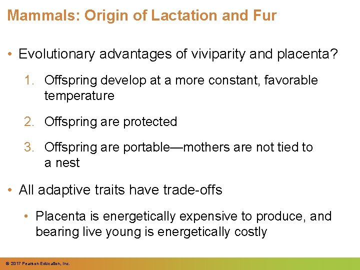Mammals: Origin of Lactation and Fur • Evolutionary advantages of viviparity and placenta? 1. Mammals: Origin of Lactation and Fur • Evolutionary advantages of viviparity and placenta? 1.