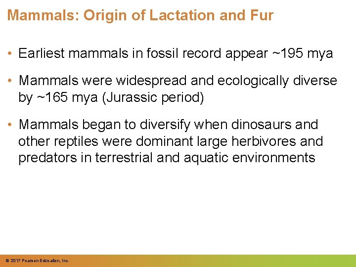 Mammals: Origin of Lactation and Fur • Earliest mammals in fossil record appear ~195 Mammals: Origin of Lactation and Fur • Earliest mammals in fossil record appear ~195