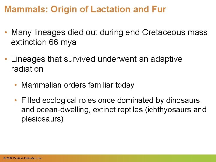 Mammals: Origin of Lactation and Fur • Many lineages died out during end-Cretaceous mass Mammals: Origin of Lactation and Fur • Many lineages died out during end-Cretaceous mass