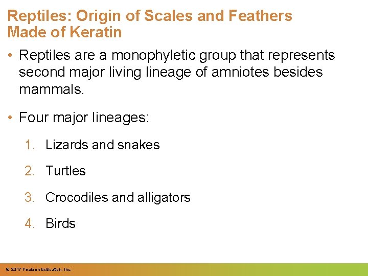Reptiles: Origin of Scales and Feathers Made of Keratin • Reptiles are a monophyletic Reptiles: Origin of Scales and Feathers Made of Keratin • Reptiles are a monophyletic