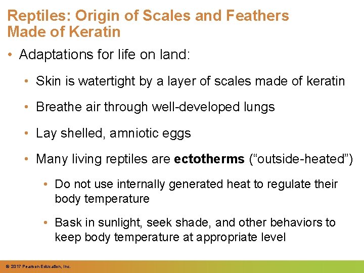 Reptiles: Origin of Scales and Feathers Made of Keratin • Adaptations for life on Reptiles: Origin of Scales and Feathers Made of Keratin • Adaptations for life on