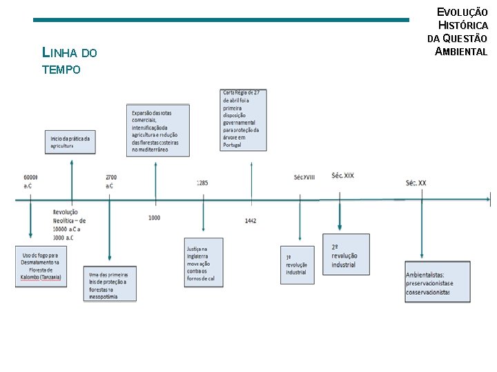 LINHA DO TEMPO EVOLUÇÃO HISTÓRICA DA QUESTÃO AMBIENTAL 