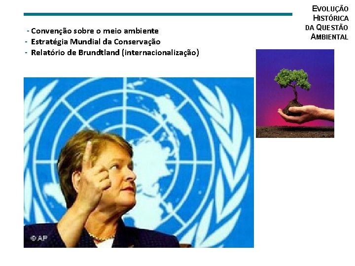  - Convenção sobre o meio ambiente - Estratégia Mundial da Conservação - Relatório