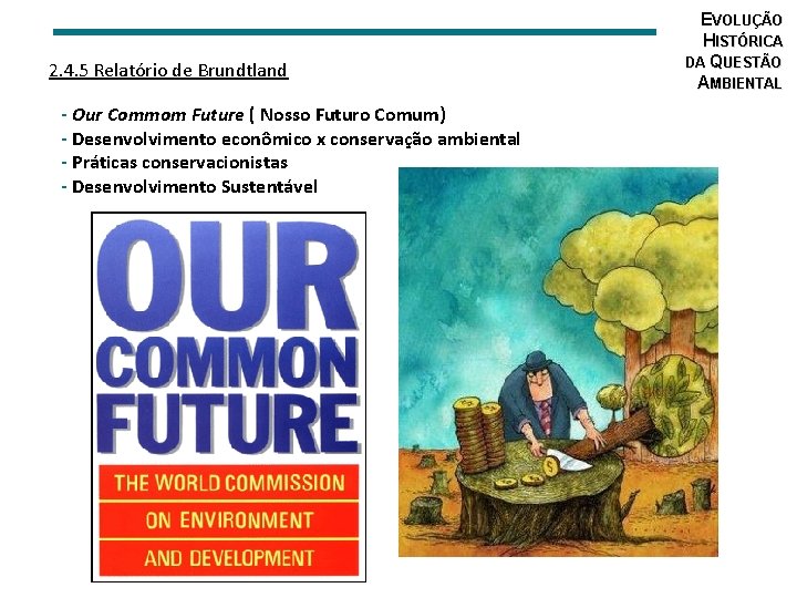 2. 4. 5 Relatório de Brundtland - Our Commom Future ( Nosso Futuro Comum)